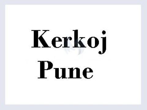 Kerkoj pune