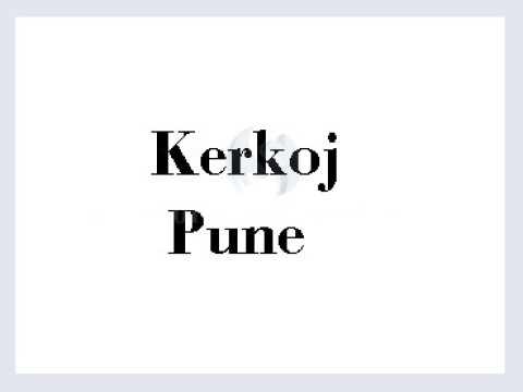 Kerkoj pune