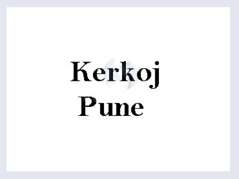 Kerkoj pune