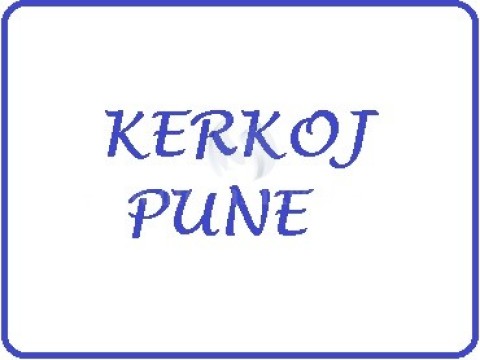 Kerkoj pune