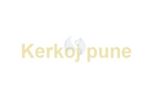 Kerkoj pune