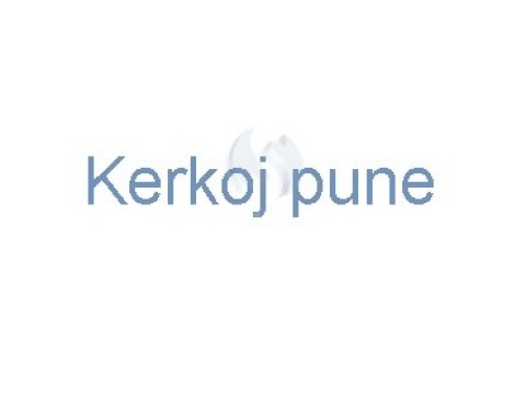 Kerkoj pune