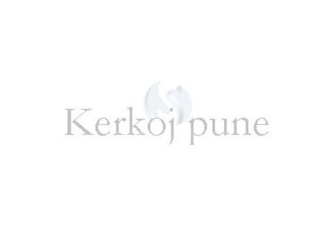 Kerkoj pune