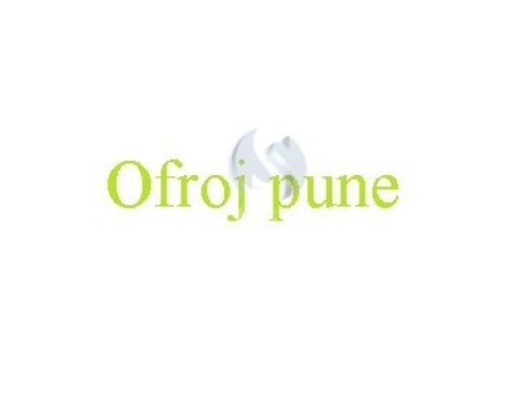 Ofroj pune