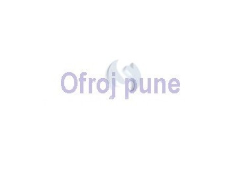 Ofroj pune