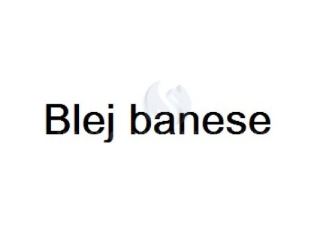 Blej banes 88m2