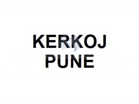 Kerkoje pune