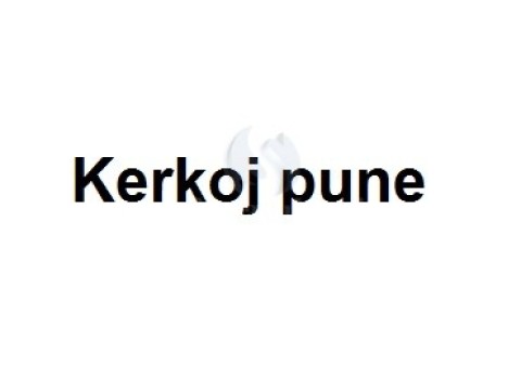 Kerkoj pun