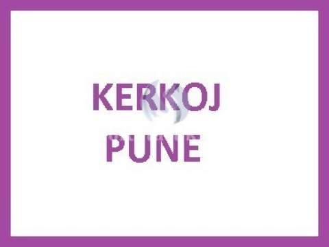 Kerkoj pune 