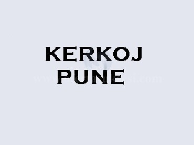 Kerkoj pune