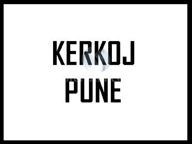 Kerkoj pune