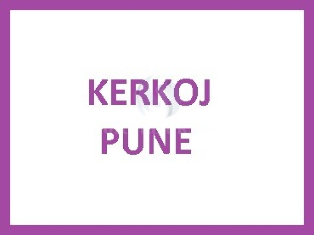 Kerkoj pune si Mesimdhenese e Gjuhes Angleze