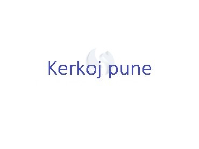 Kerkoj pune