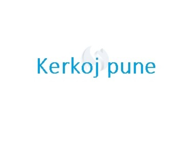 Kerkoj pune