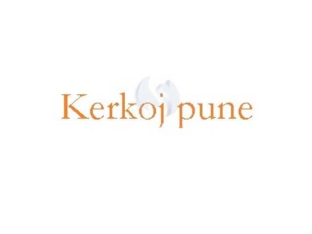 Kerkoj pune