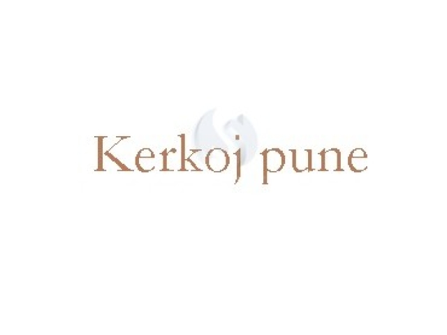 Kerkoj pune