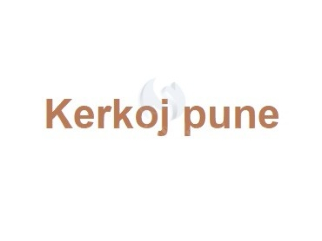 Kerkoj pune