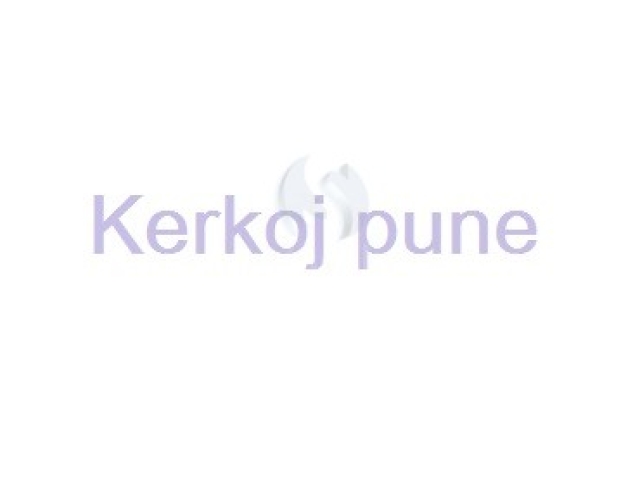 Kerkoj pune