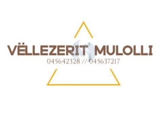 Vëllezerit Mulolli