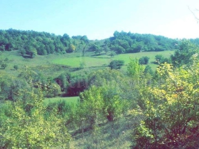 Shes 3 hektar e 10 ari toke / Prishtine