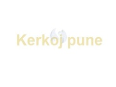 Kerkoj pune