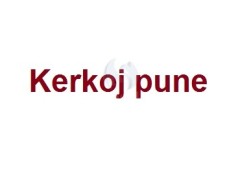 Kerkoj pune